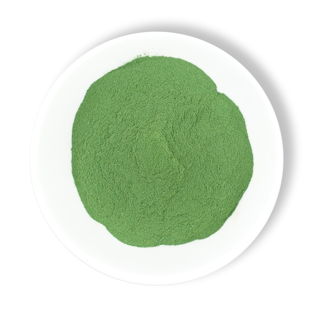 Spirulina Cultivation in Auroville Harnessing Nature's Green Gold